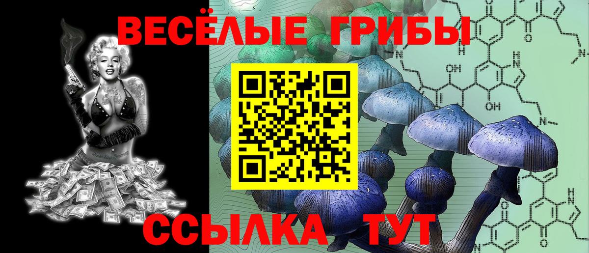 Родники  Псилоцибиновые грибы прущие грибы  Вход с VPN 