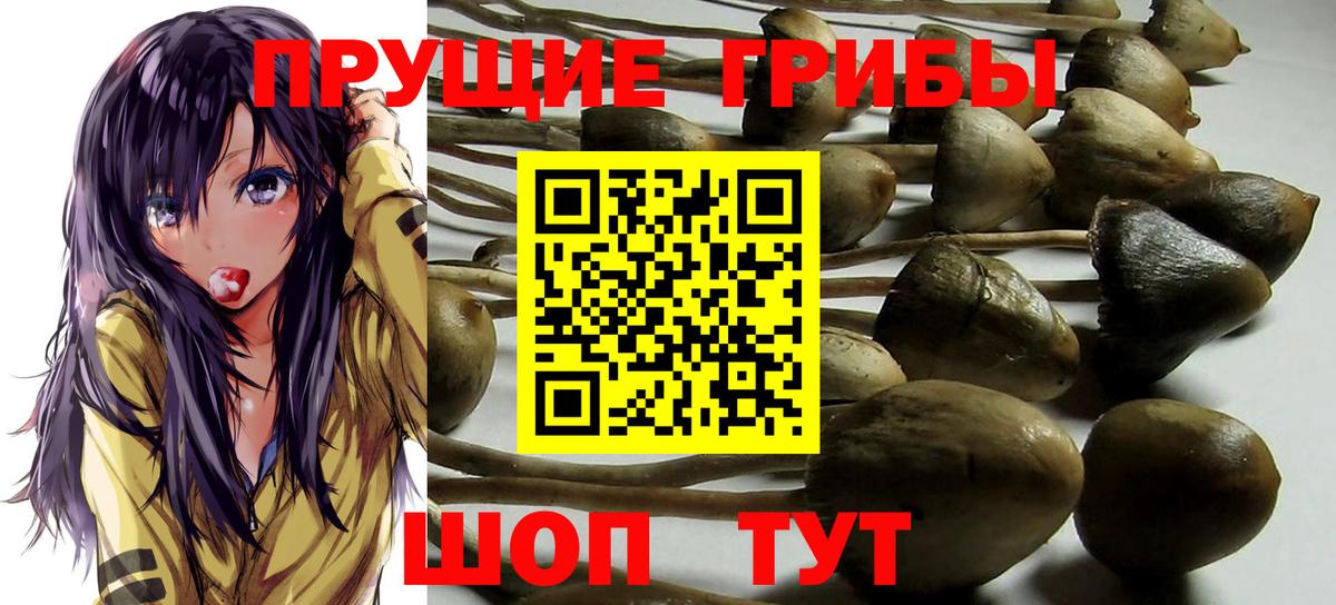 Псилоцибиновые грибы ЛСД Родники